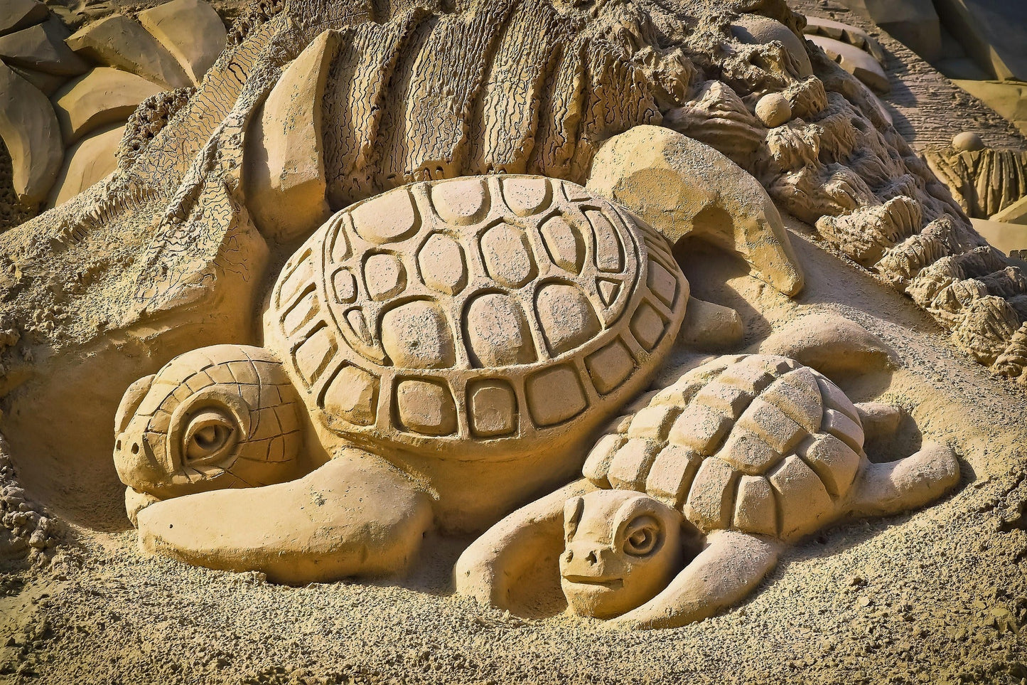 Express What Words Cannot - Two sand crafted turtles on the beach, one mother and child, fear in the mother's eye that indicates an emotion that can't be expressed, fear of death of the young one, grief over previous losses?