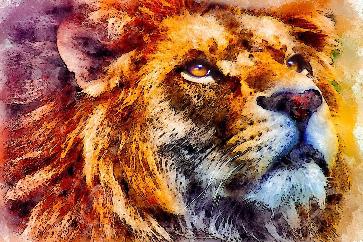 Drawing of the head of a lion